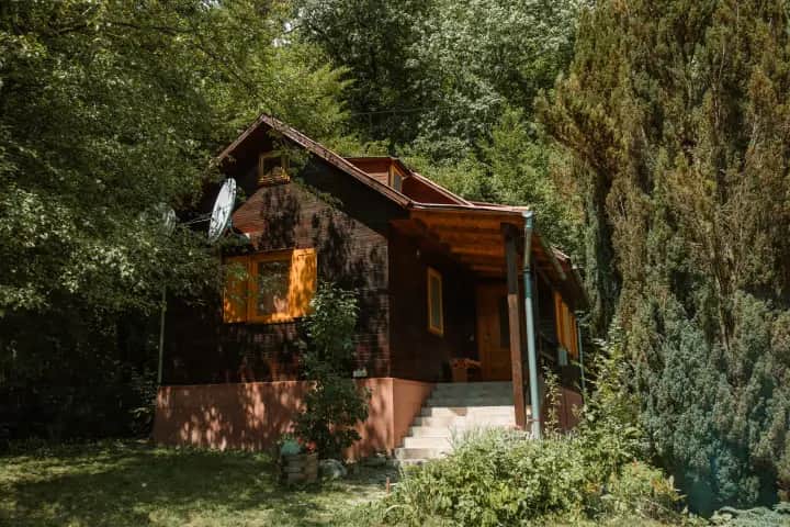 Imagine Cabana Rustică - Pădurea Veselă