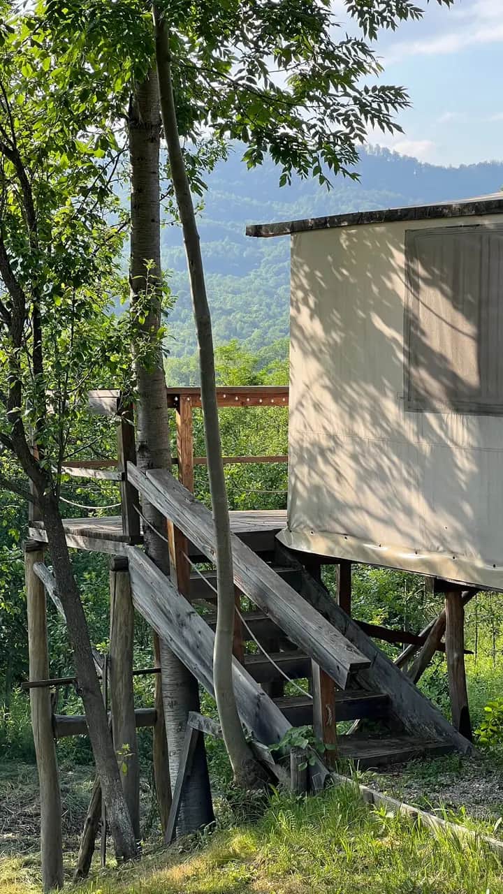 Mesteceni Glamping - Imagine 4