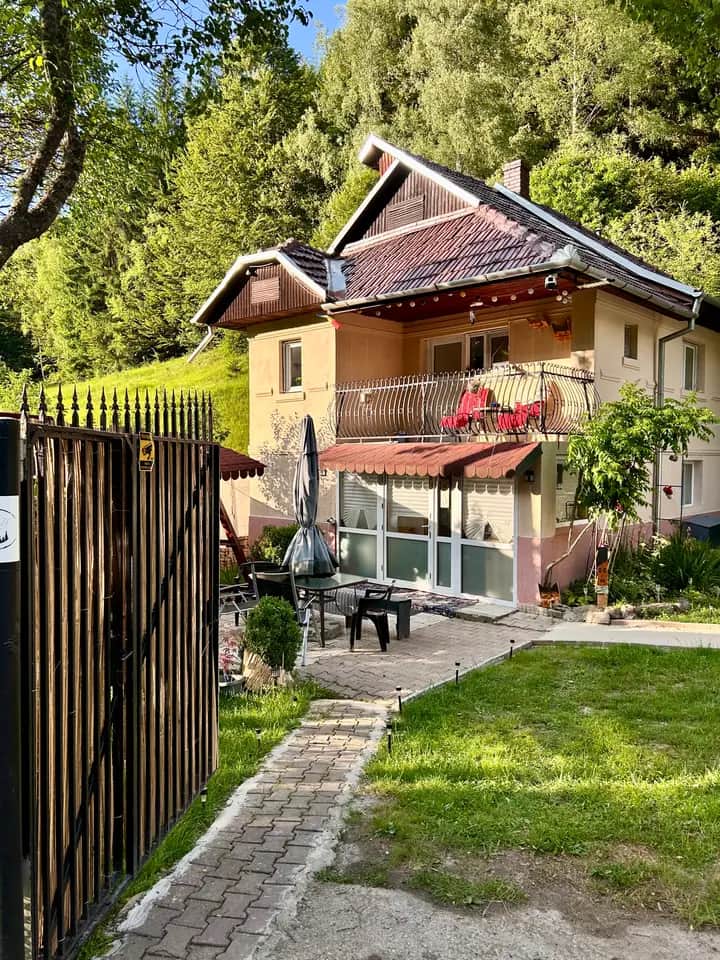 Imagine Brazi House