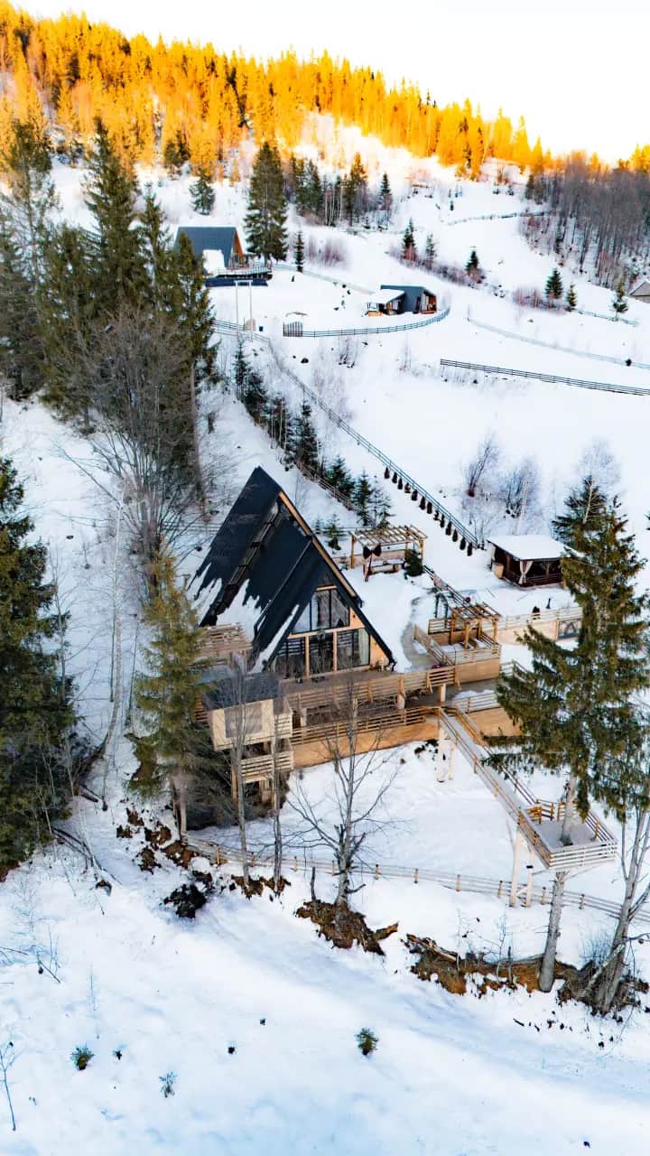 Imagine Black Roof