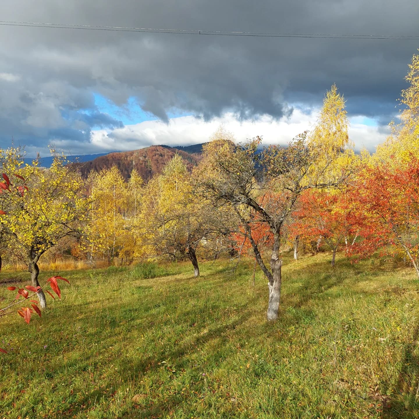 Căsuța din Poveste - Imagine 8