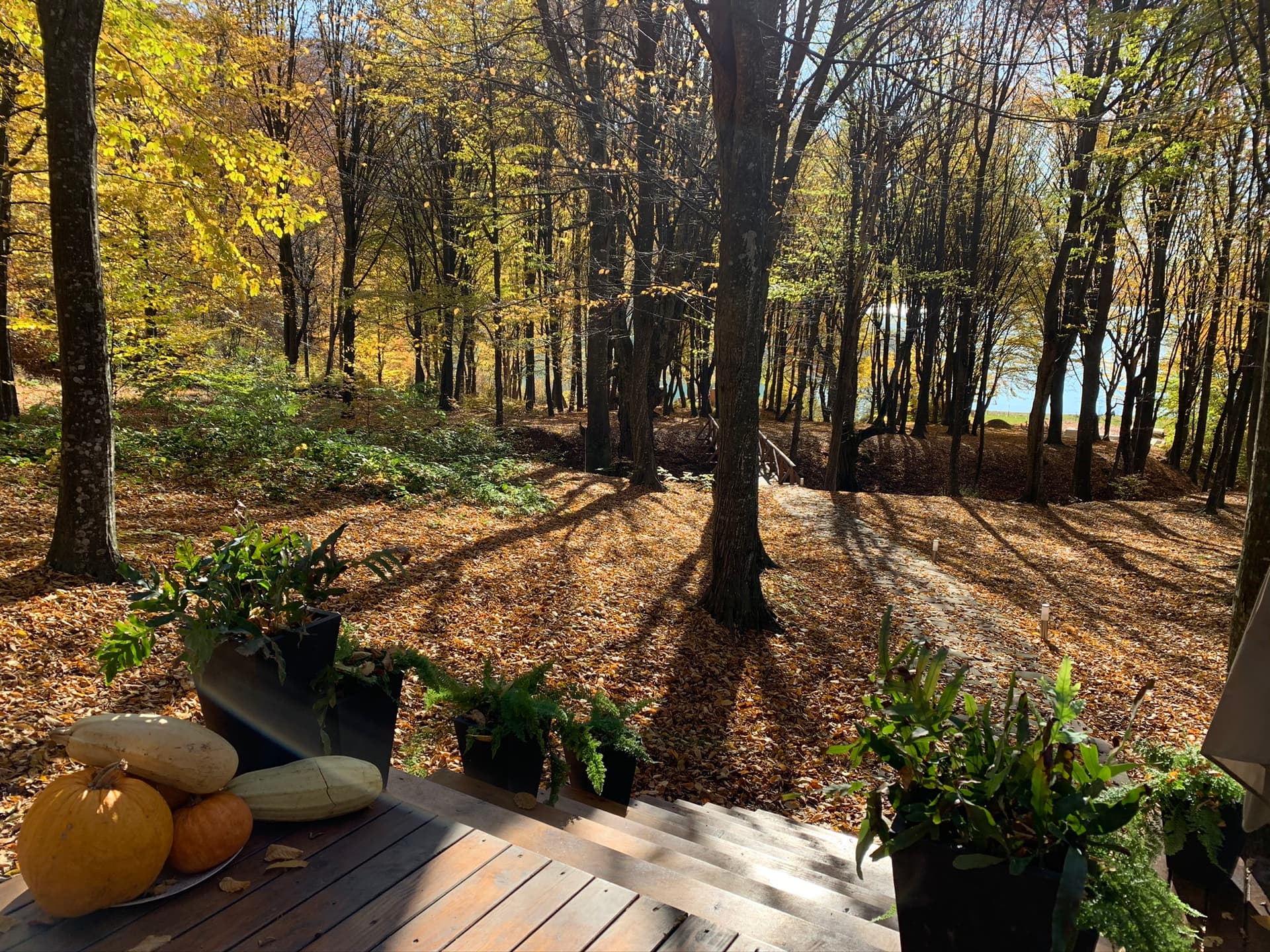 Luxury Lake House & Glamping - Imagine 7