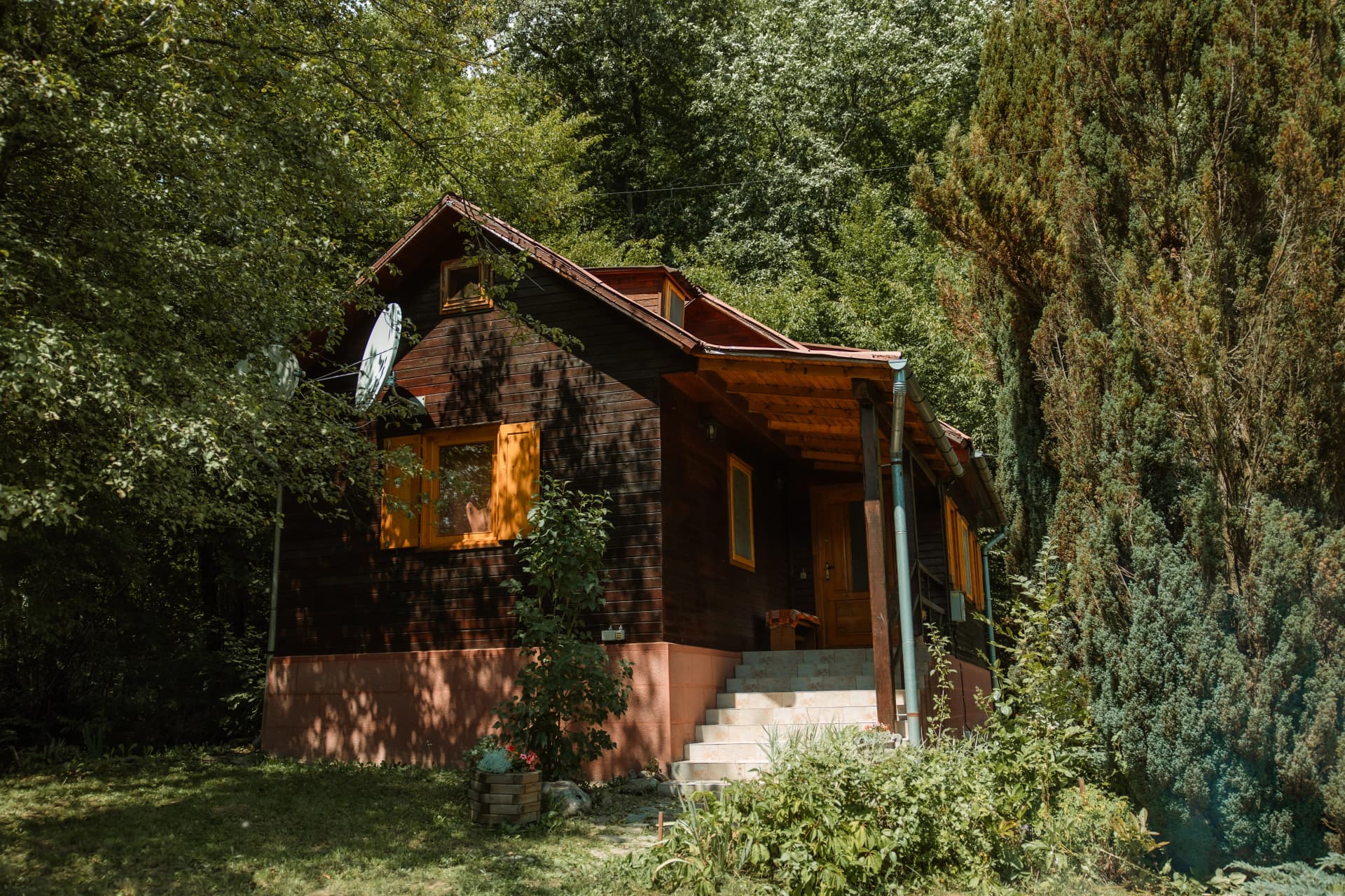 Imagine Cabana Rustică - Pădurea Veselă
