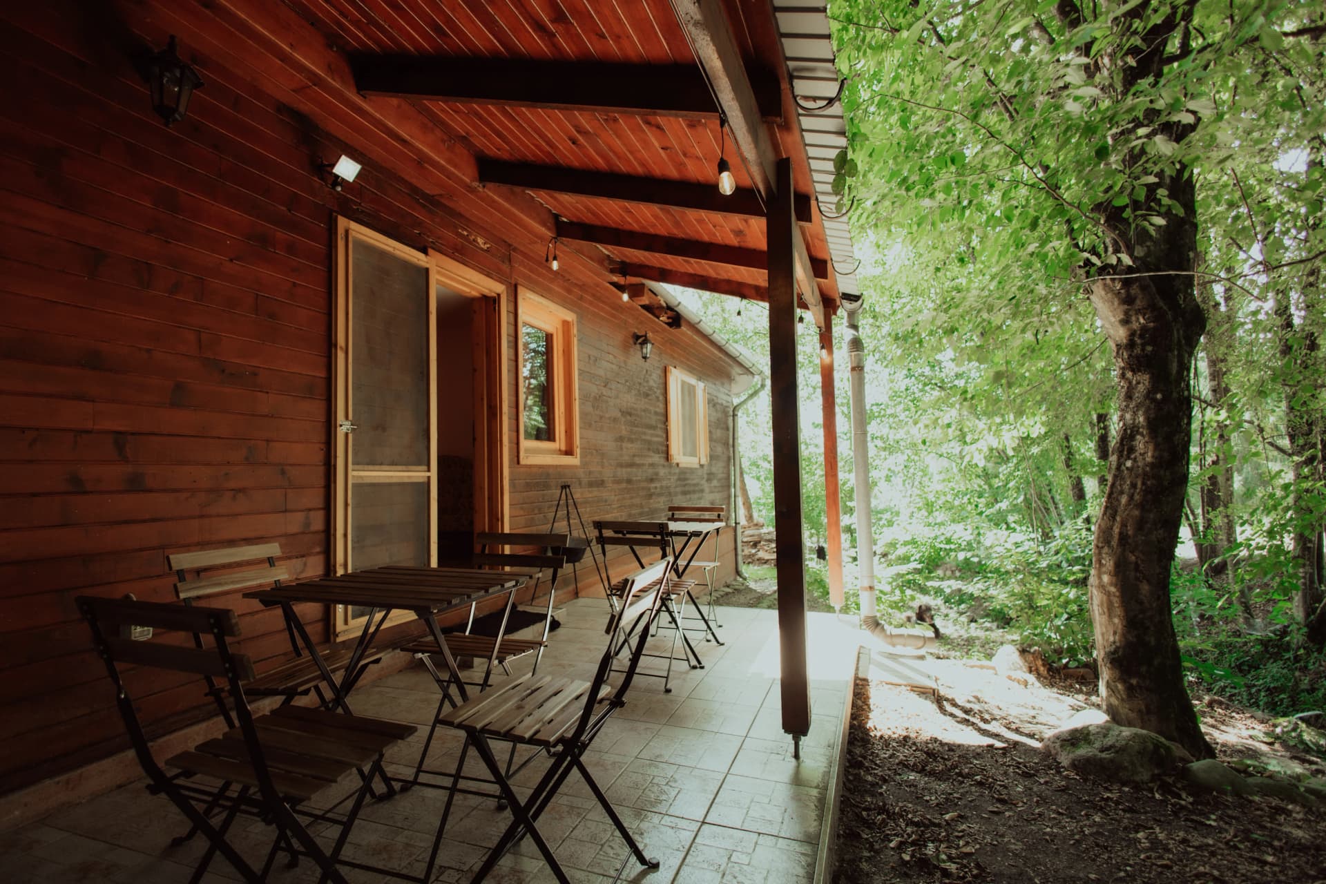 Cabana Rustică - Pădurea Veselă - Imagine 9