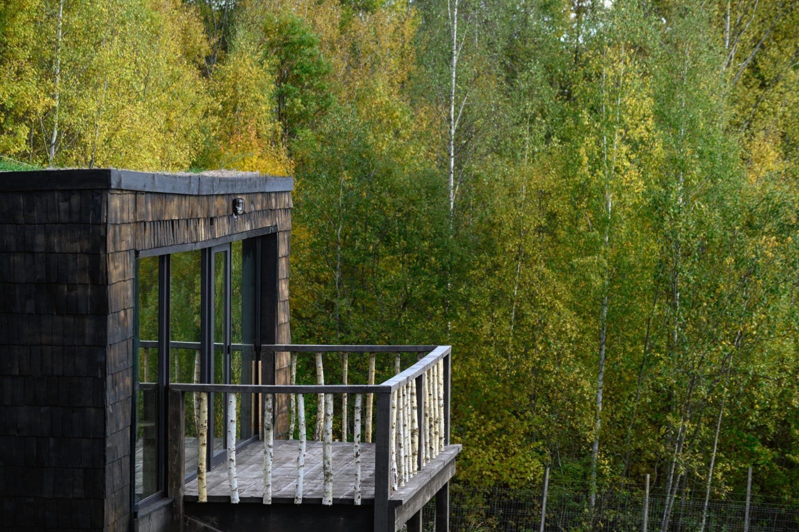 Evergreen Retreat - Imagine 4