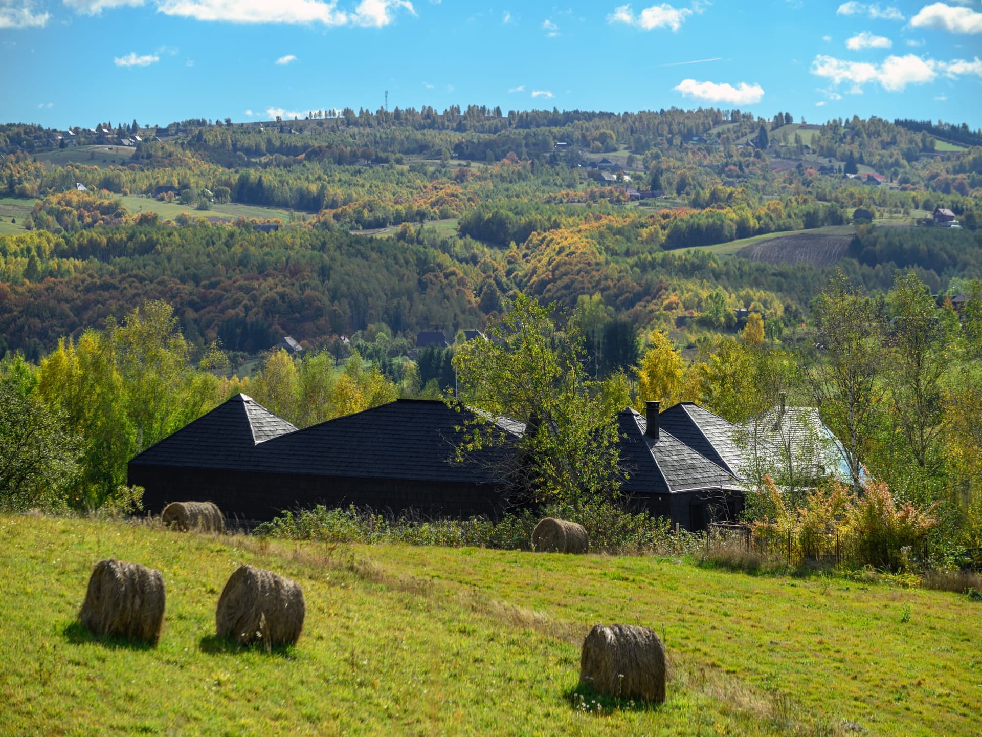 Evergreen Retreat - Imagine 5