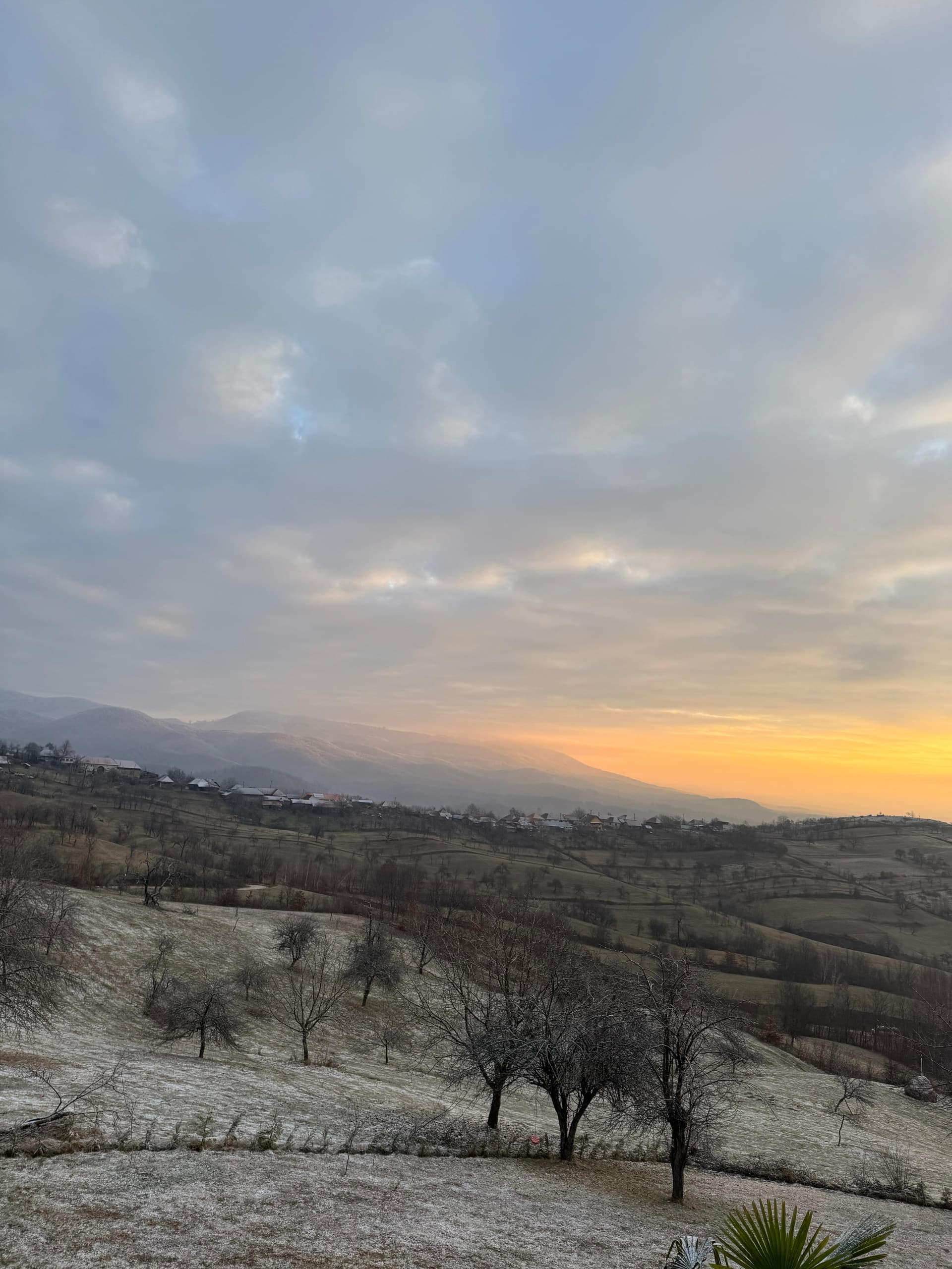 SweetNest - Imagine 16