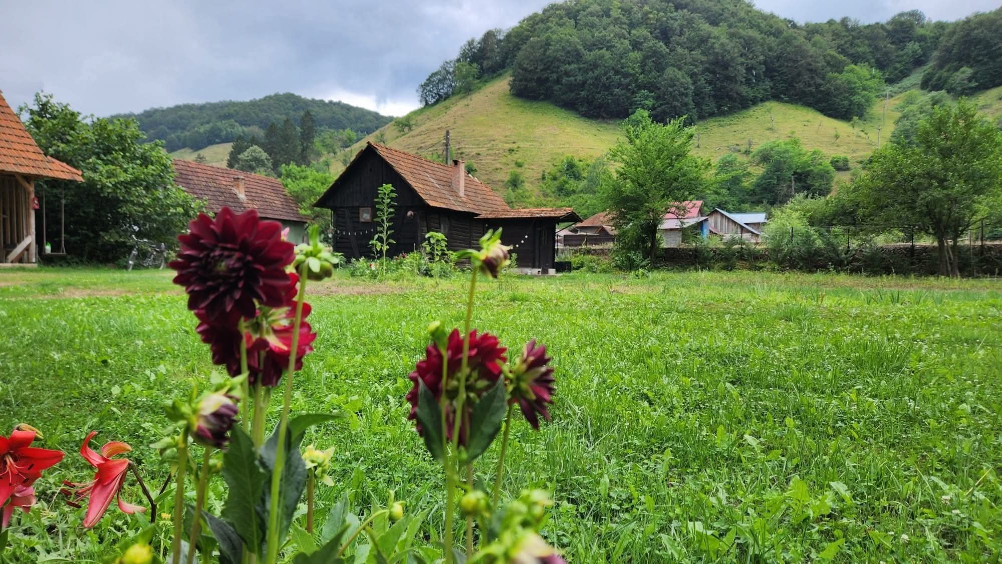 Casa Speranța - Imagine 2