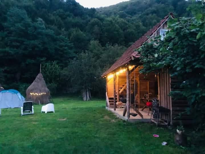 Casa Speranța - Imagine 5