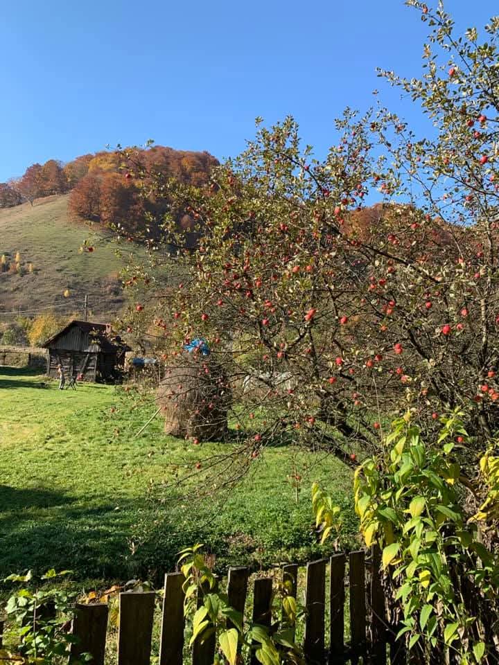 Casa Speranța - Imagine 10