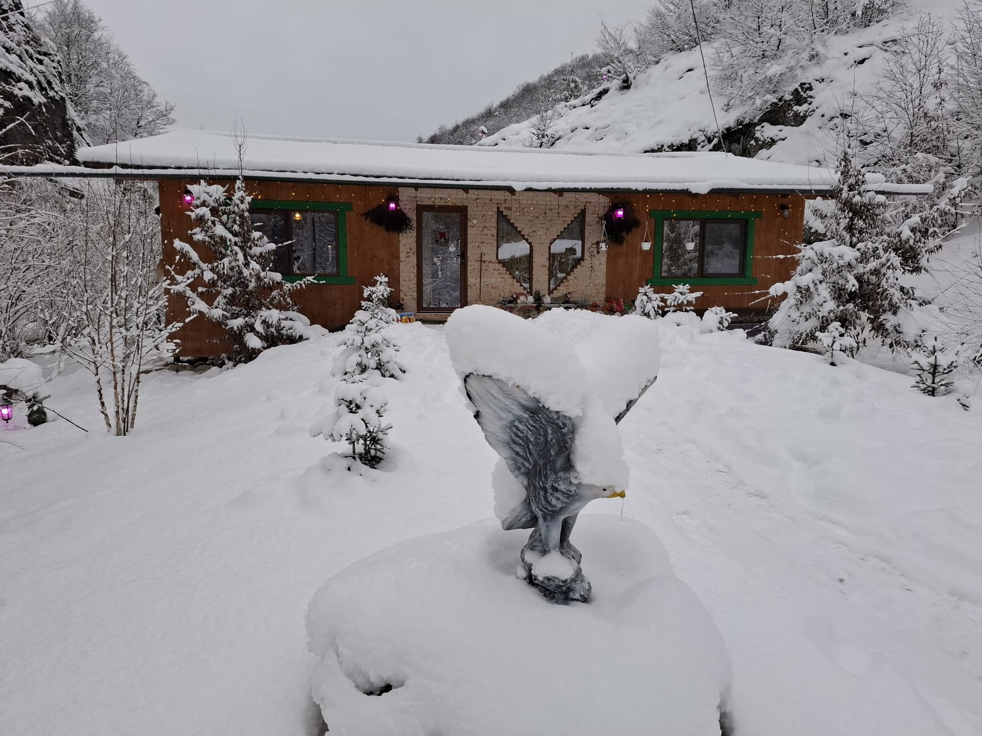 Cabana Cuib de Șoim - Imagine 5