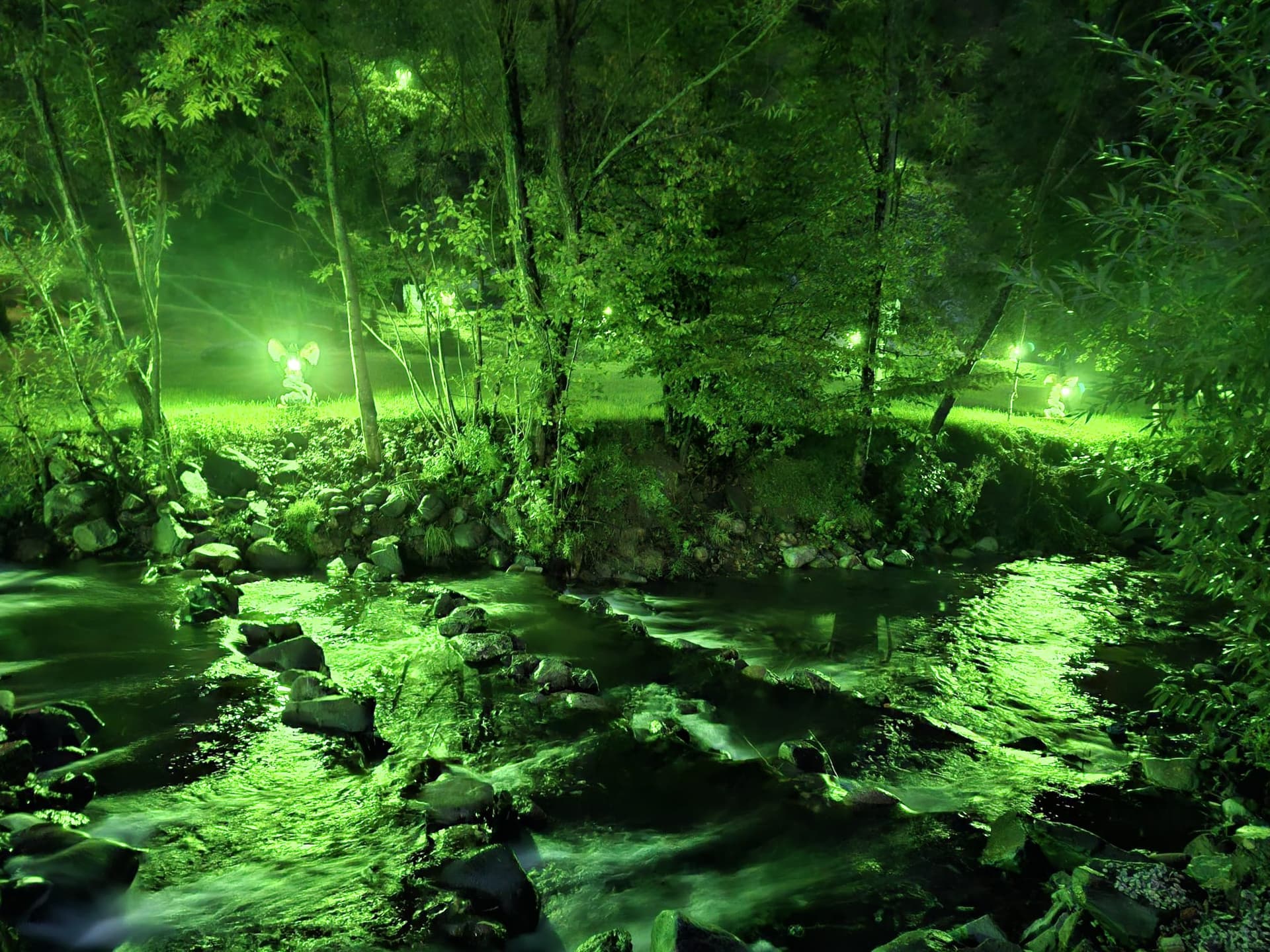 Cabana Cuib de Șoim - Imagine 7