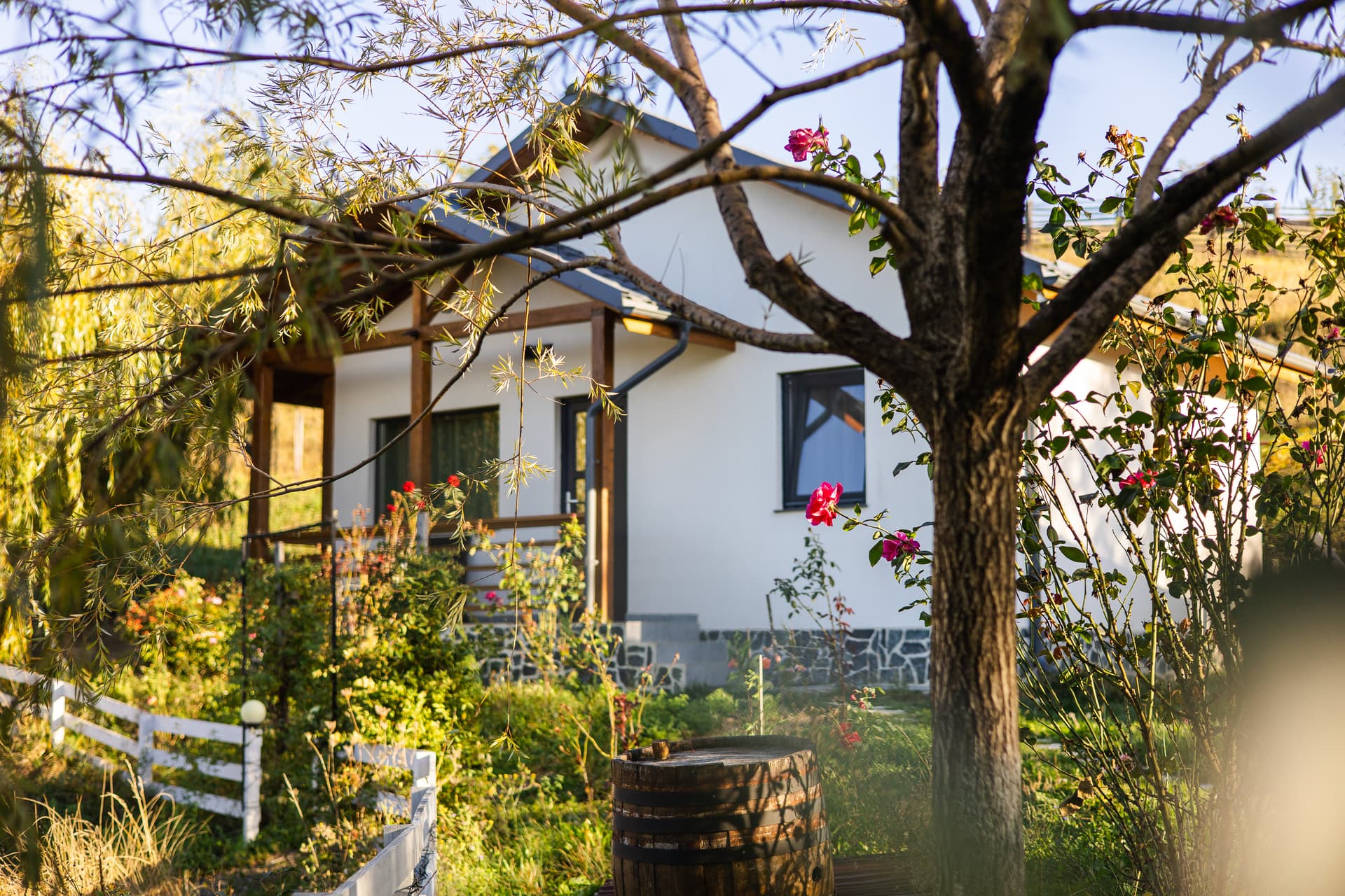 Noia Caban - Imagine 2