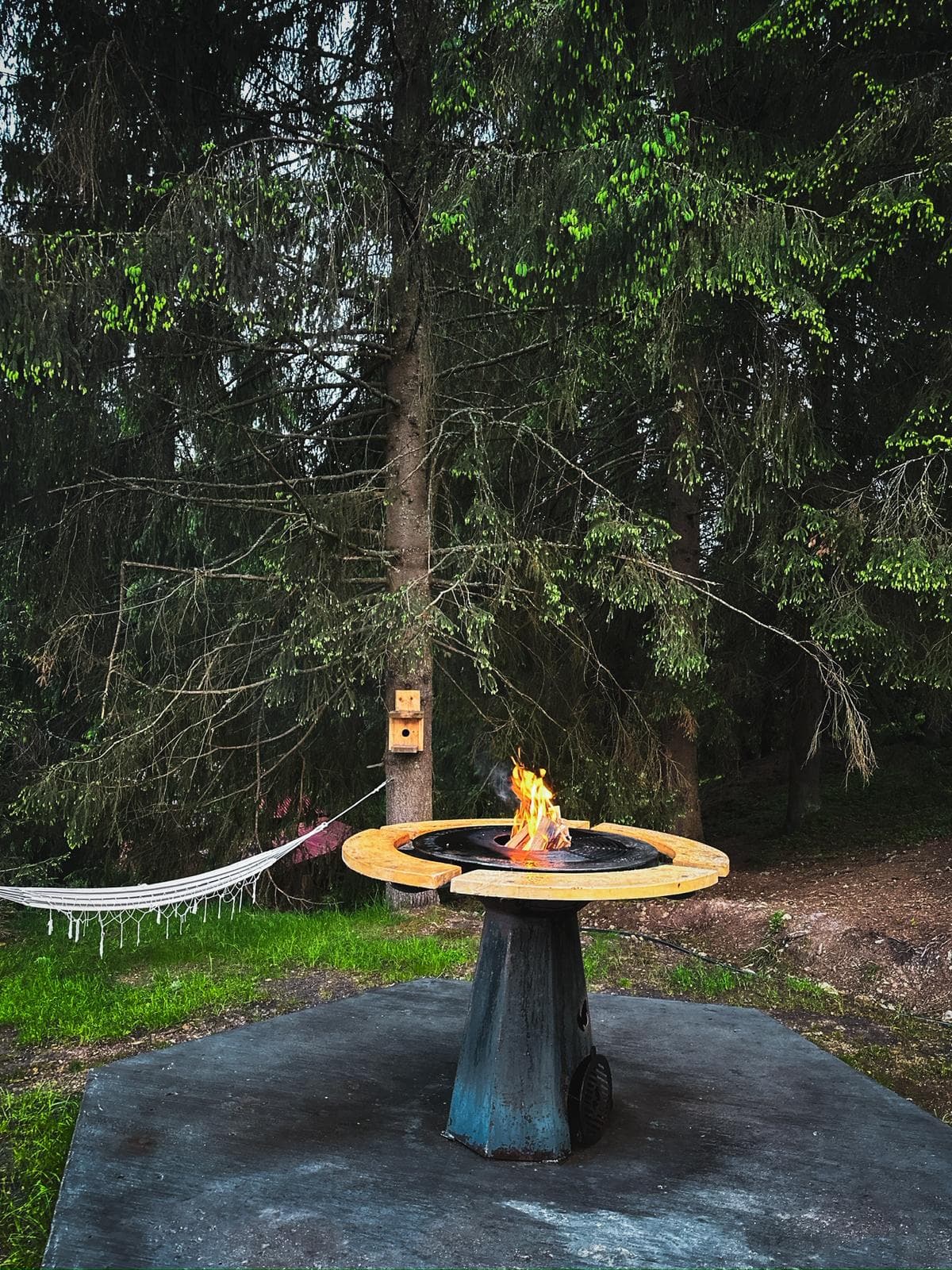 Cabana BellaMonte - Imagine 3