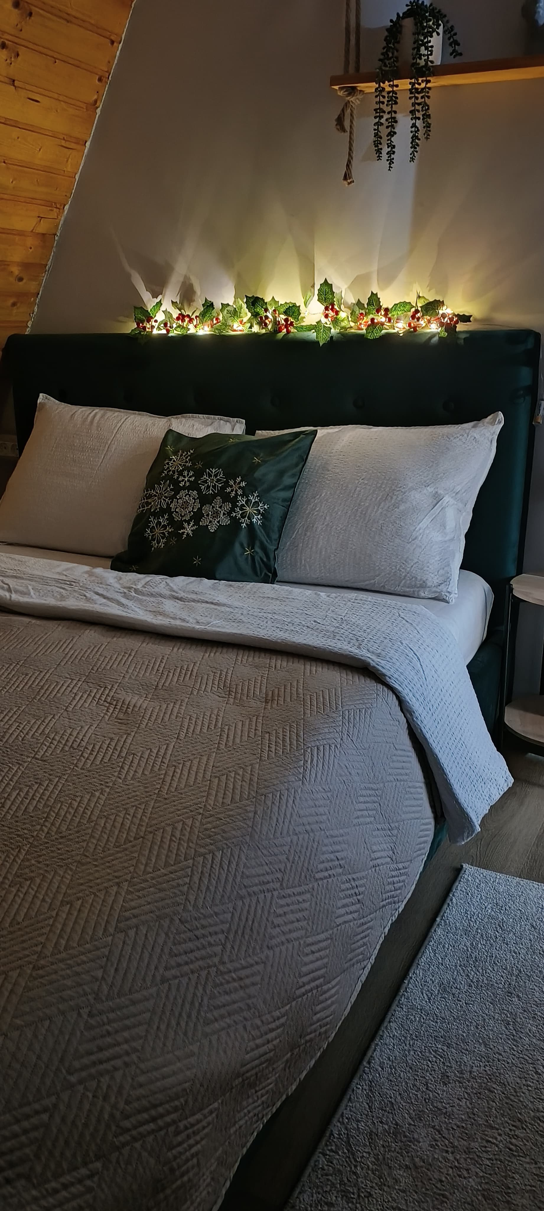 Cabana Alive - Imagine 5