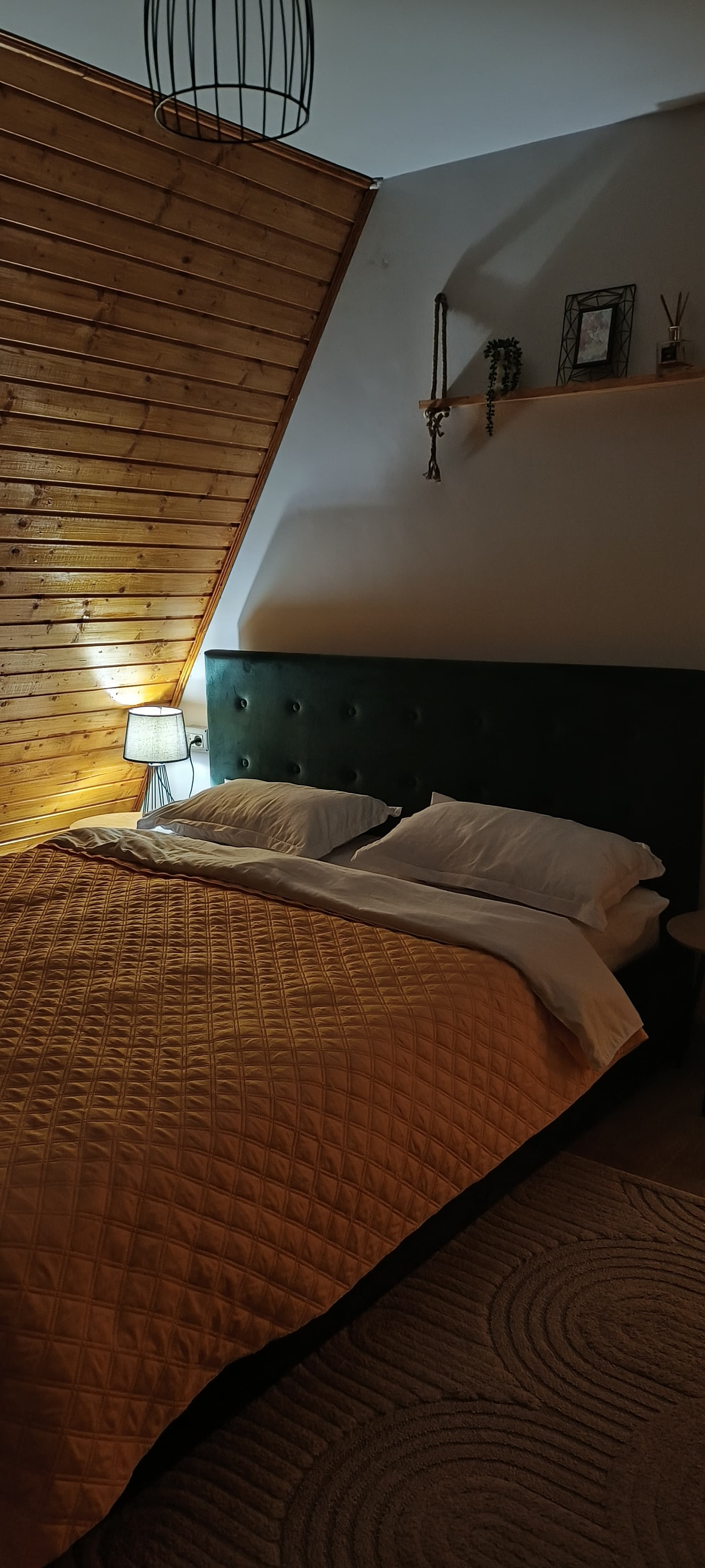 Cabana Alive - Imagine 7