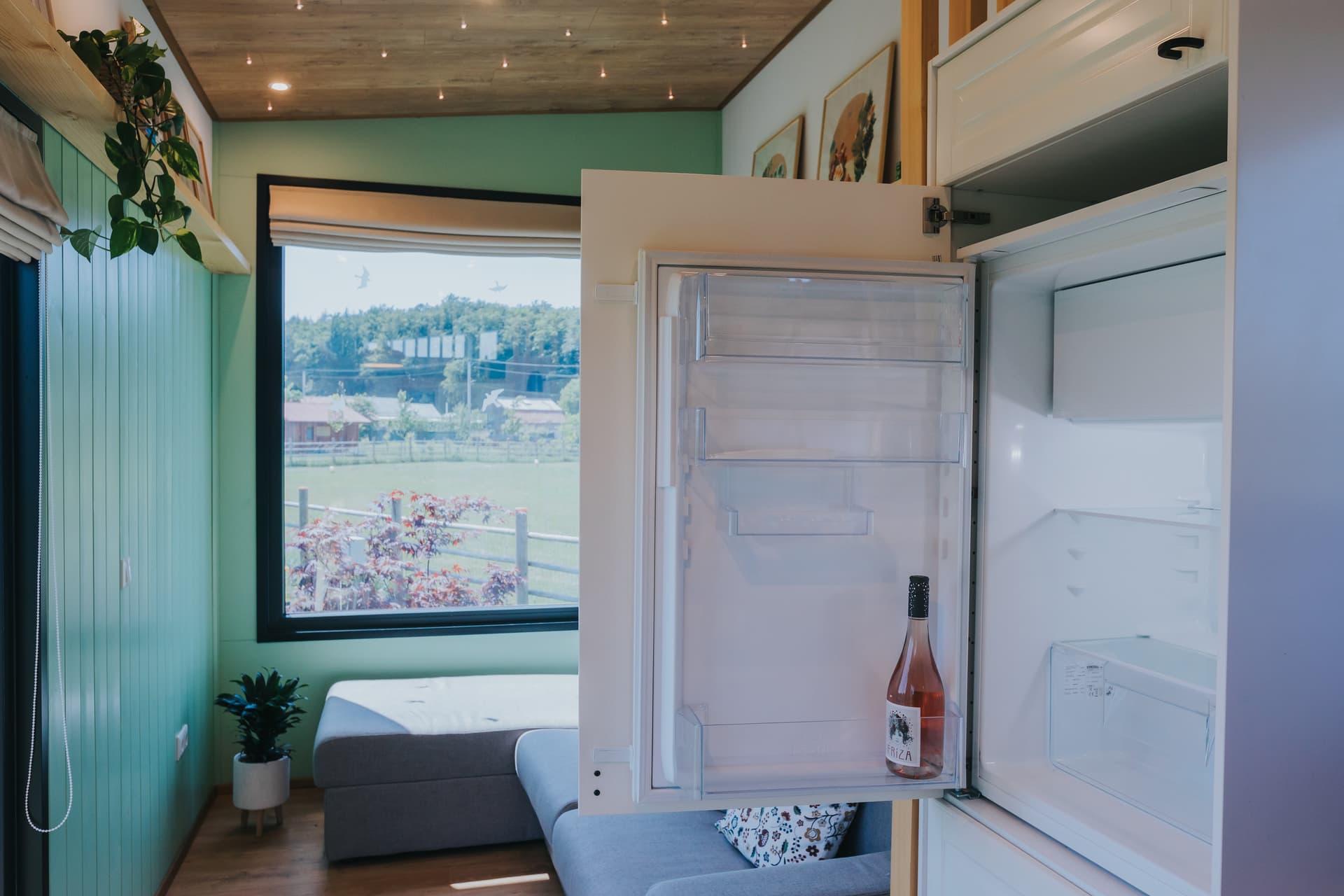 Tiny Transylvania - Imagine 6