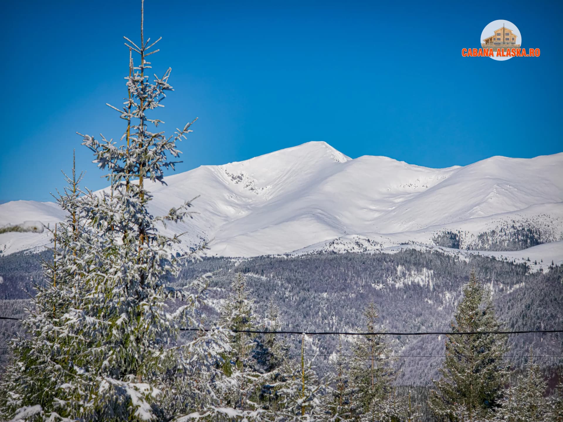 Cabana Alaska - Imagine 2