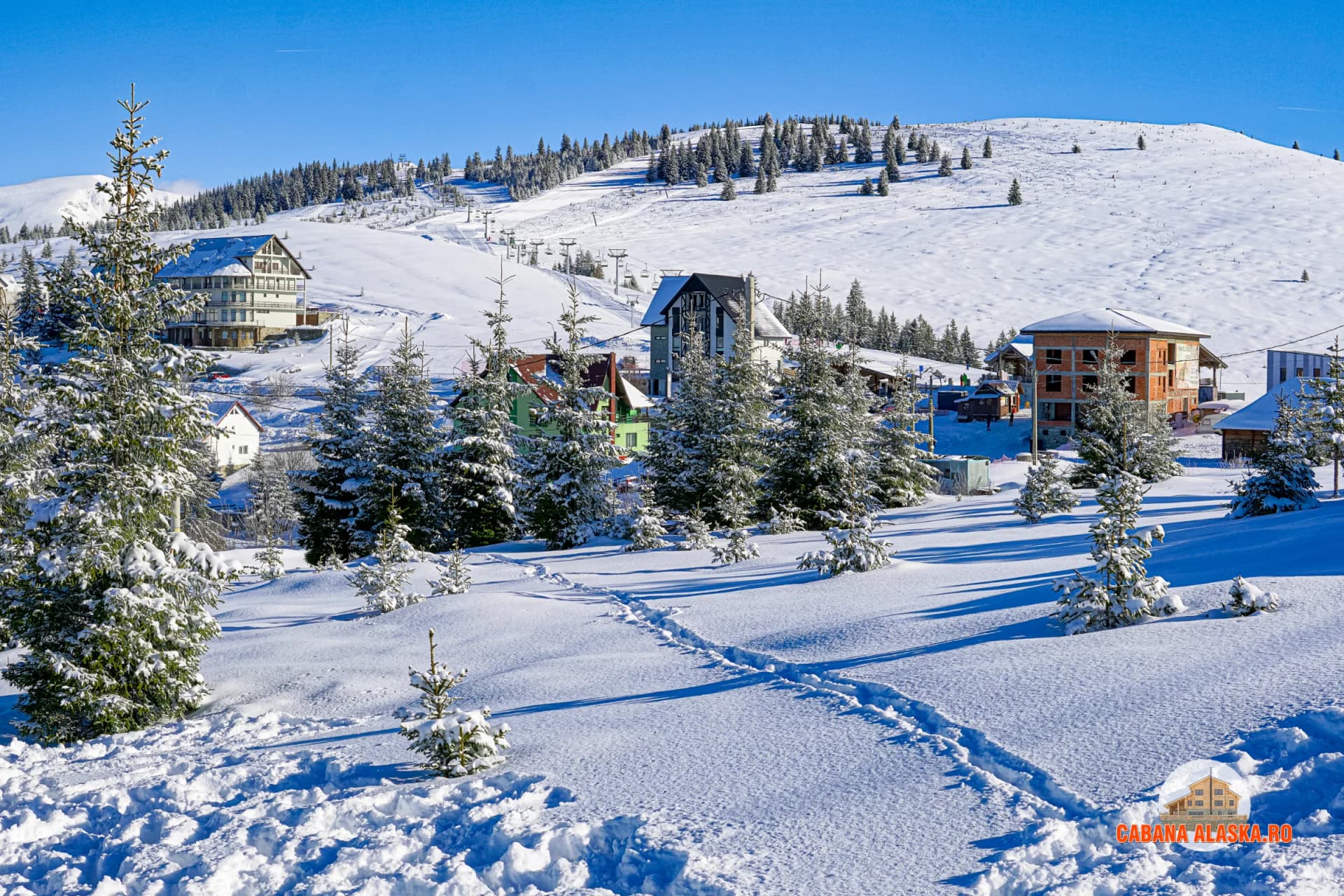 Cabana Alaska - Imagine 4