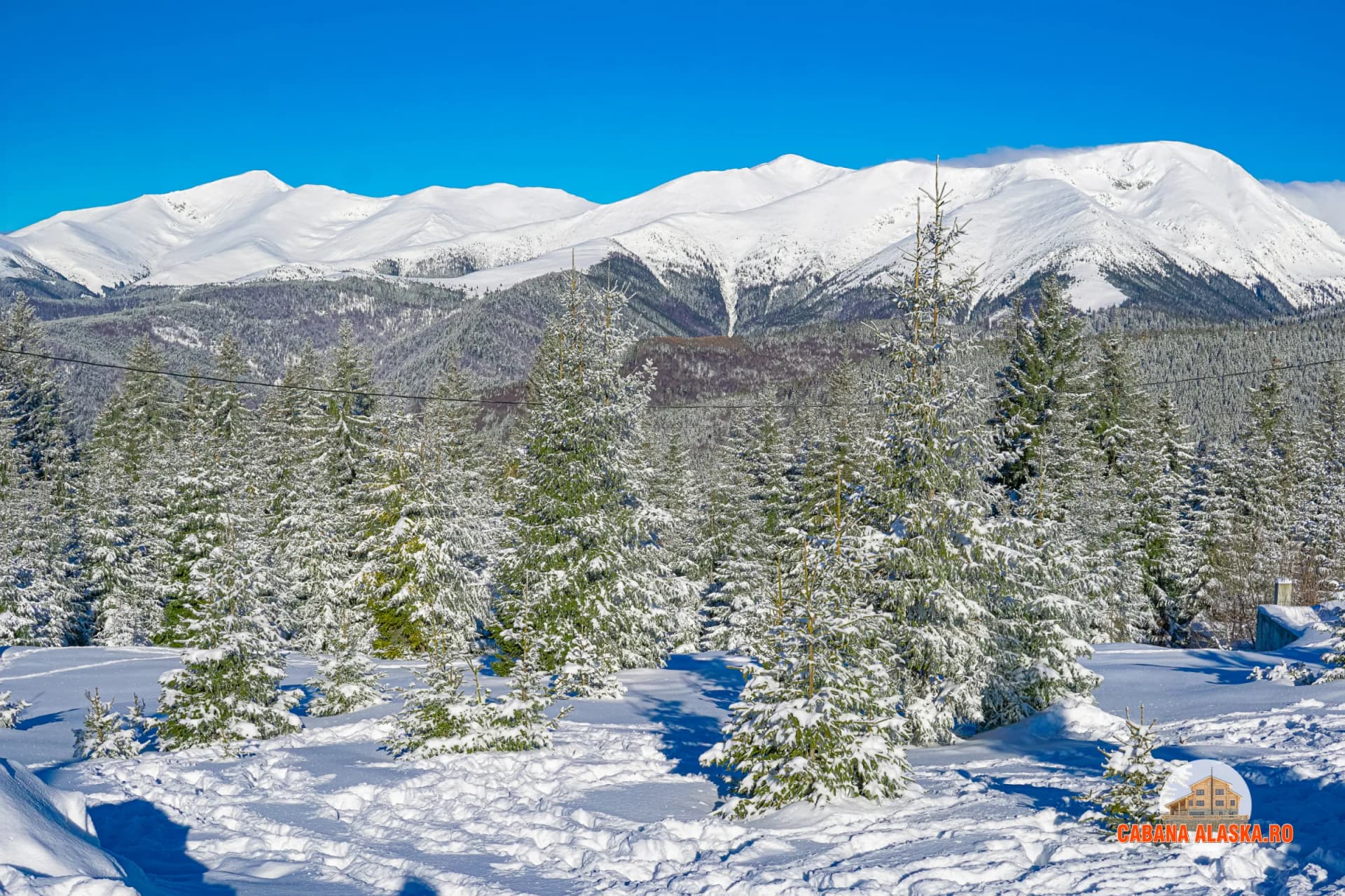 Cabana Alaska - Imagine 5