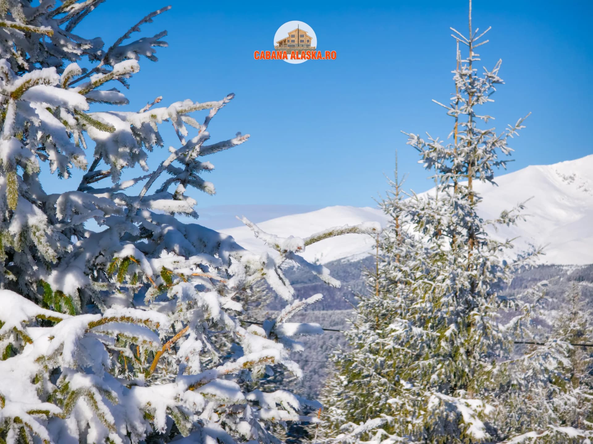 Cabana Alaska - Imagine 6