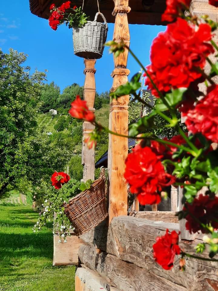 Căsuța Tradițională - Imagine 2