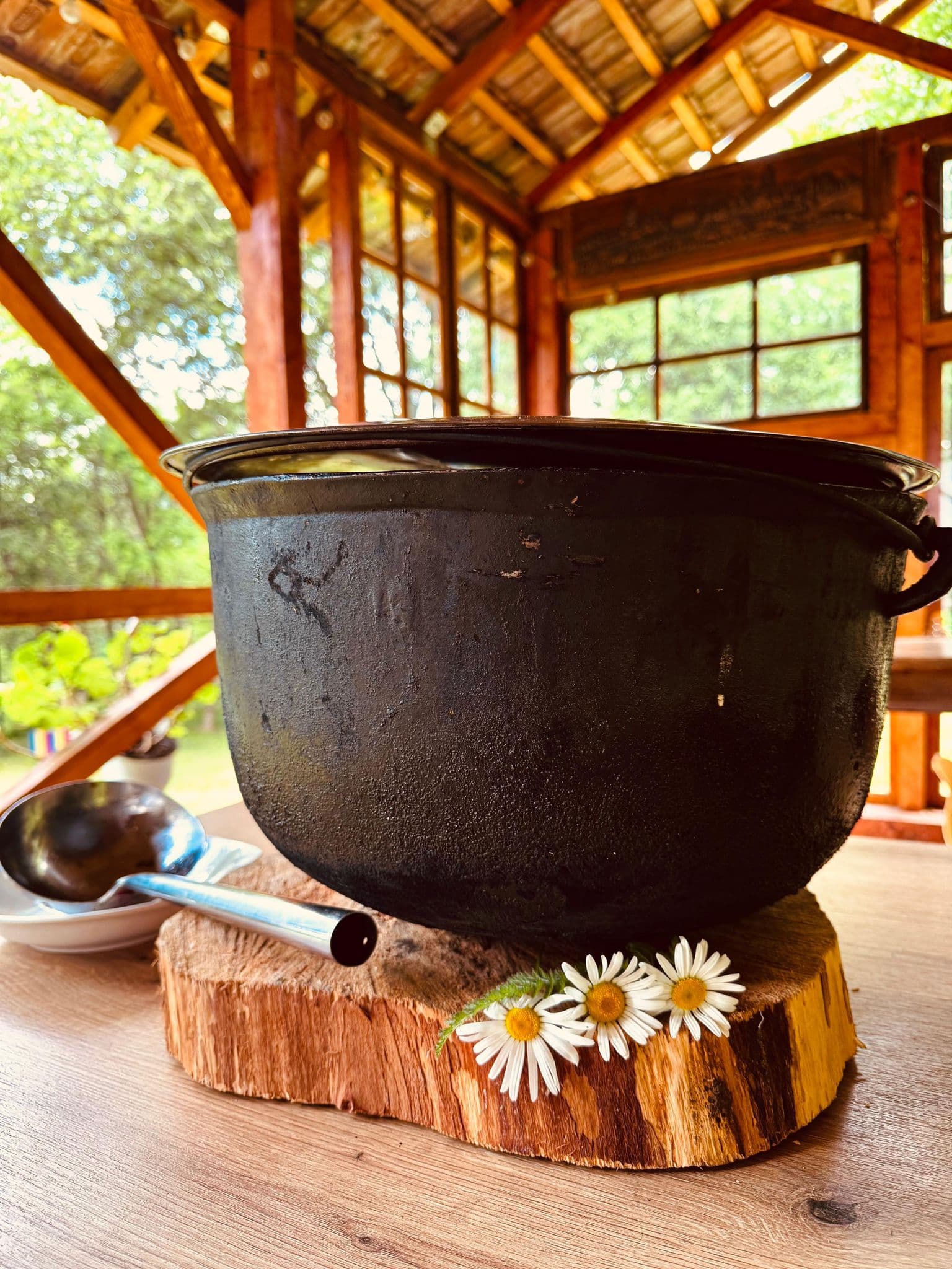 Mesteceni Glamping - Imagine 18