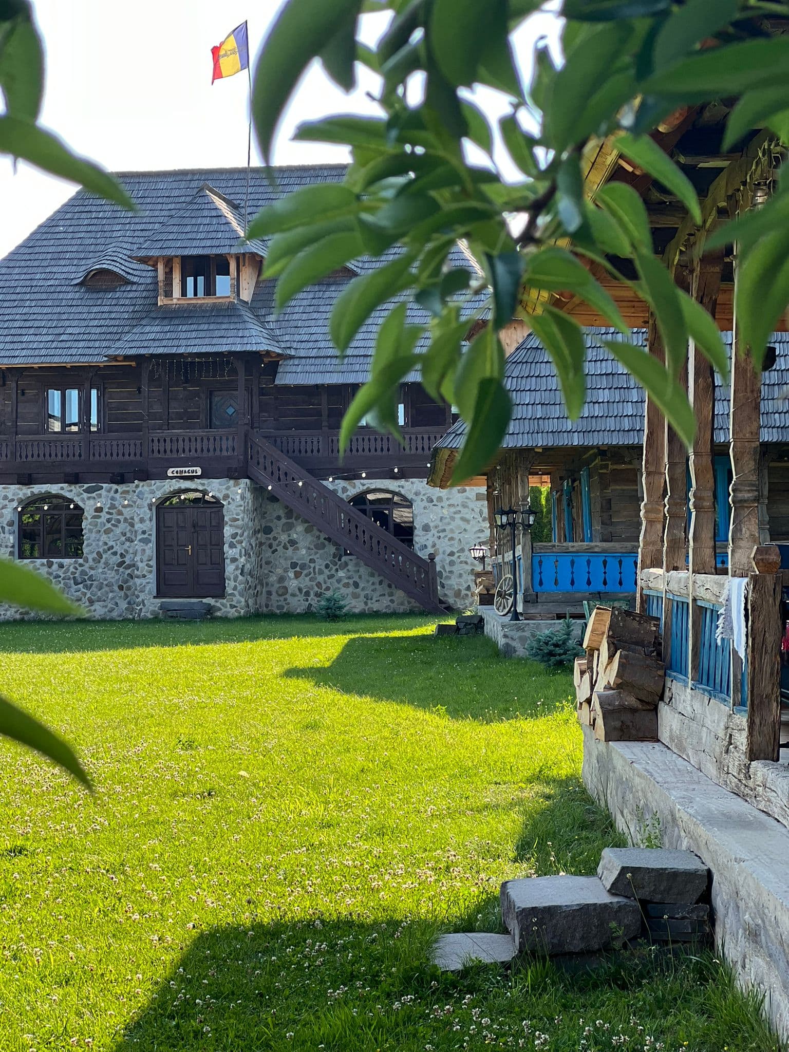 La Patru Daci - Imagine 15