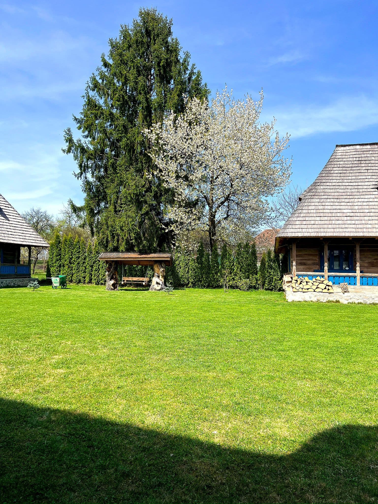 La Patru Daci - Imagine 16