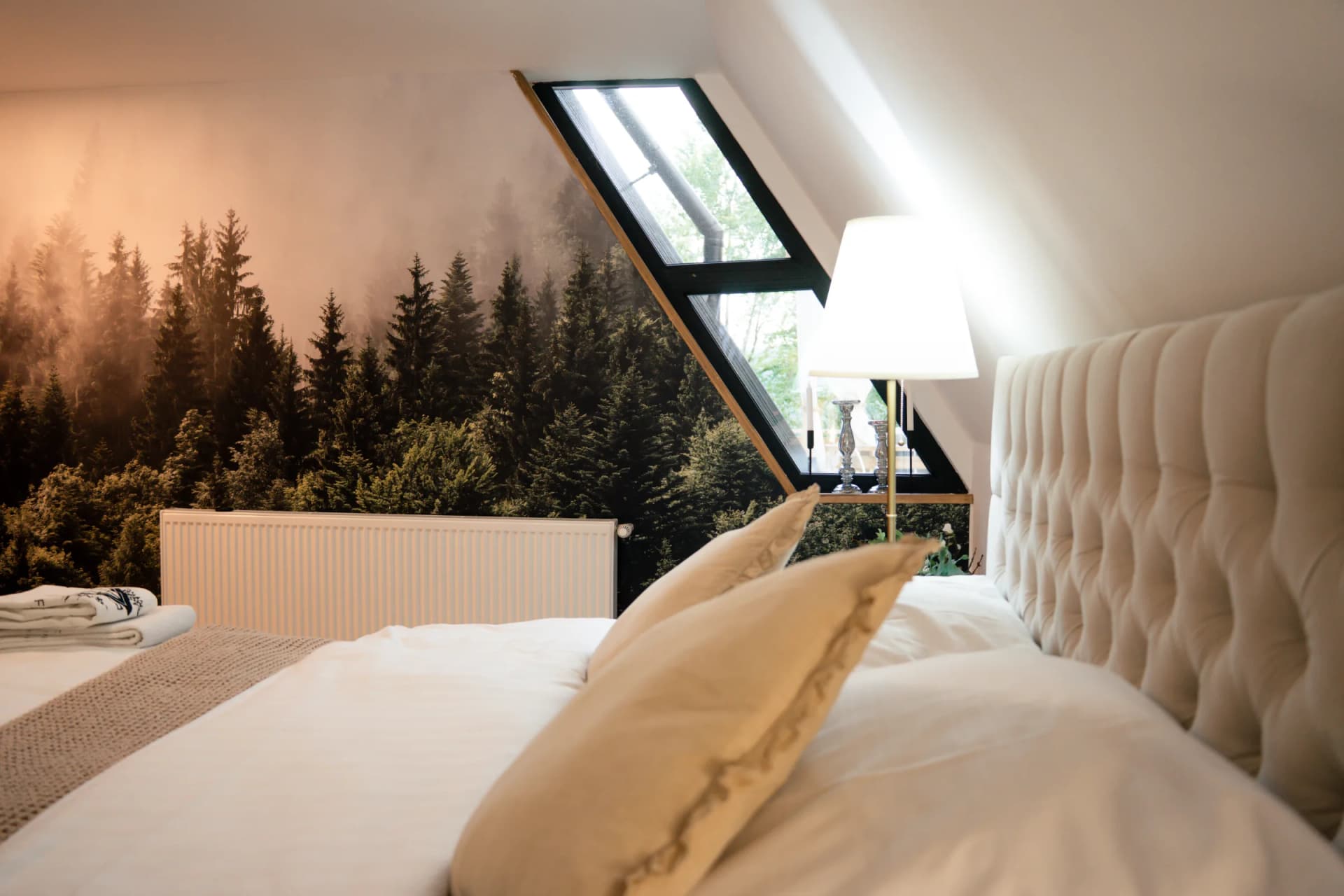 Black Roof - Imagine 8