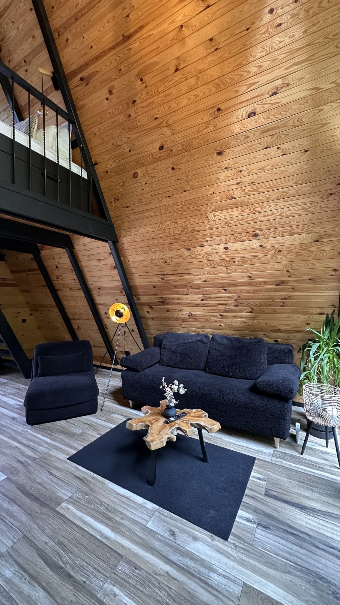 The Palo Predeal - Imagine 7