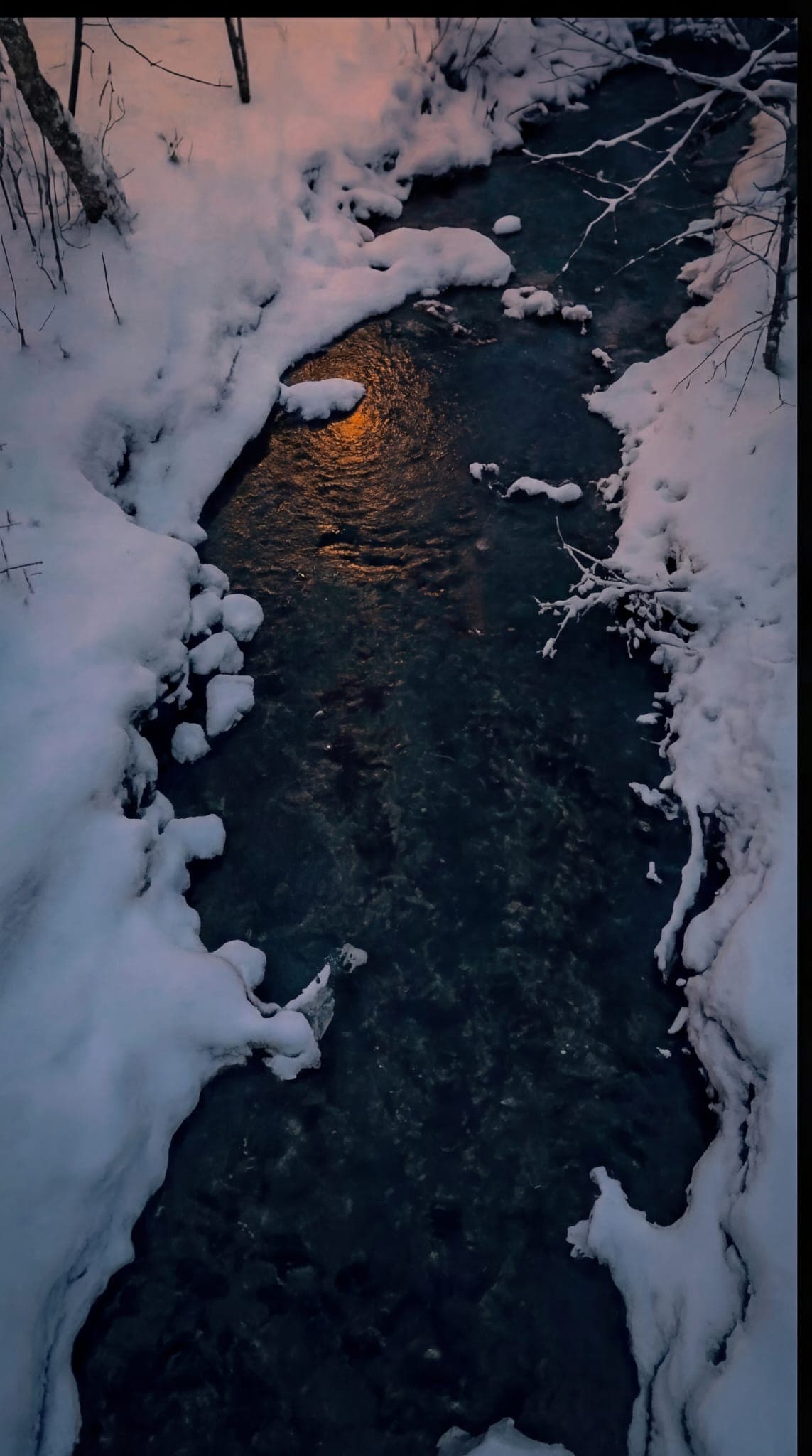 The Palo Predeal - Imagine 12